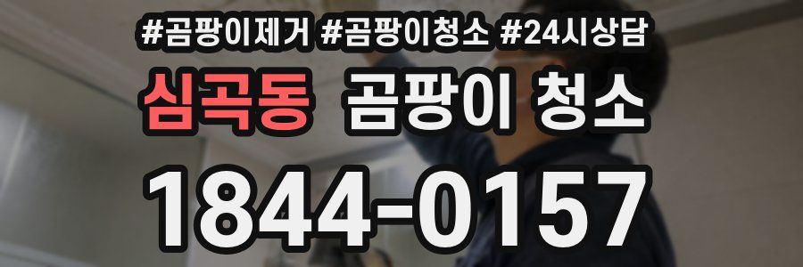 심곡동 곰팡이 청소