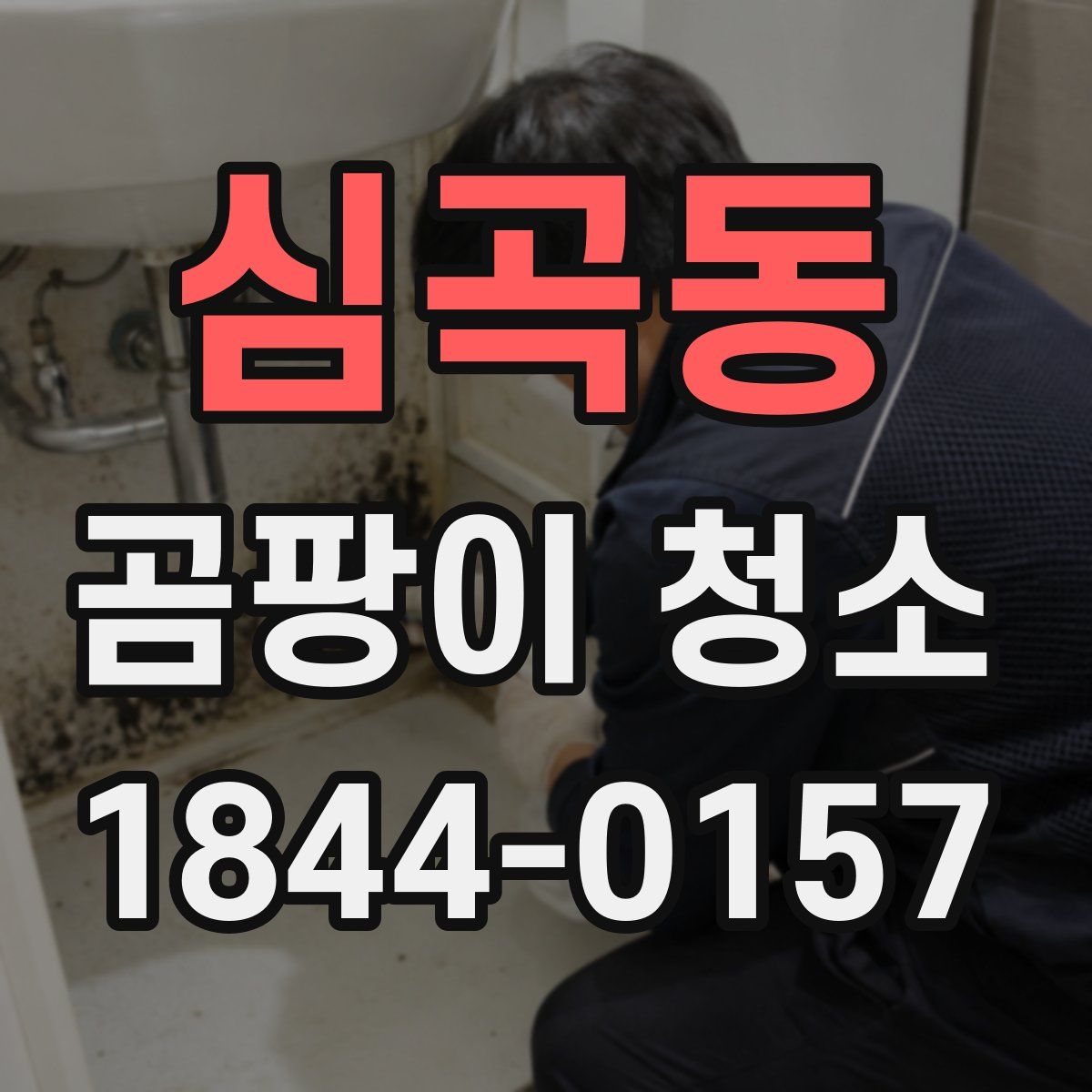 심곡동 곰팡이 청소