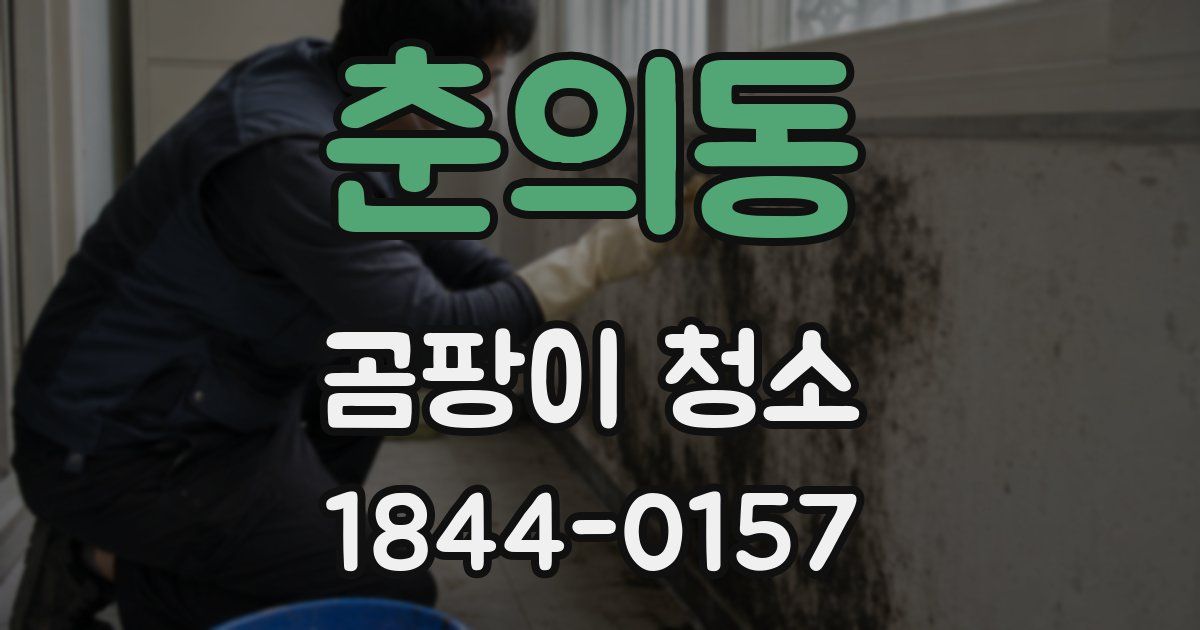 춘의동 곰팡이 청소