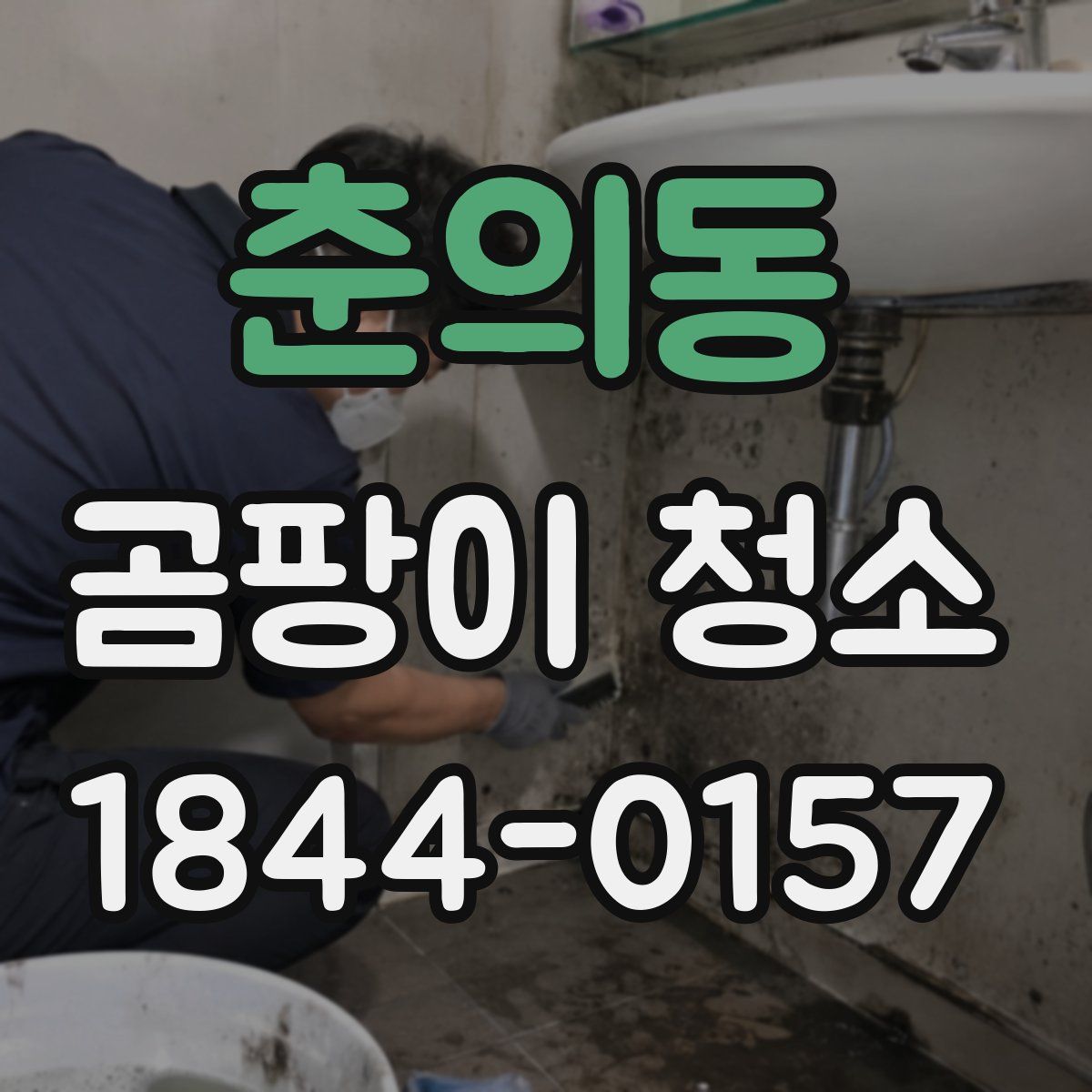 춘의동 곰팡이 청소