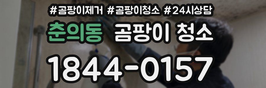 춘의동 곰팡이 청소