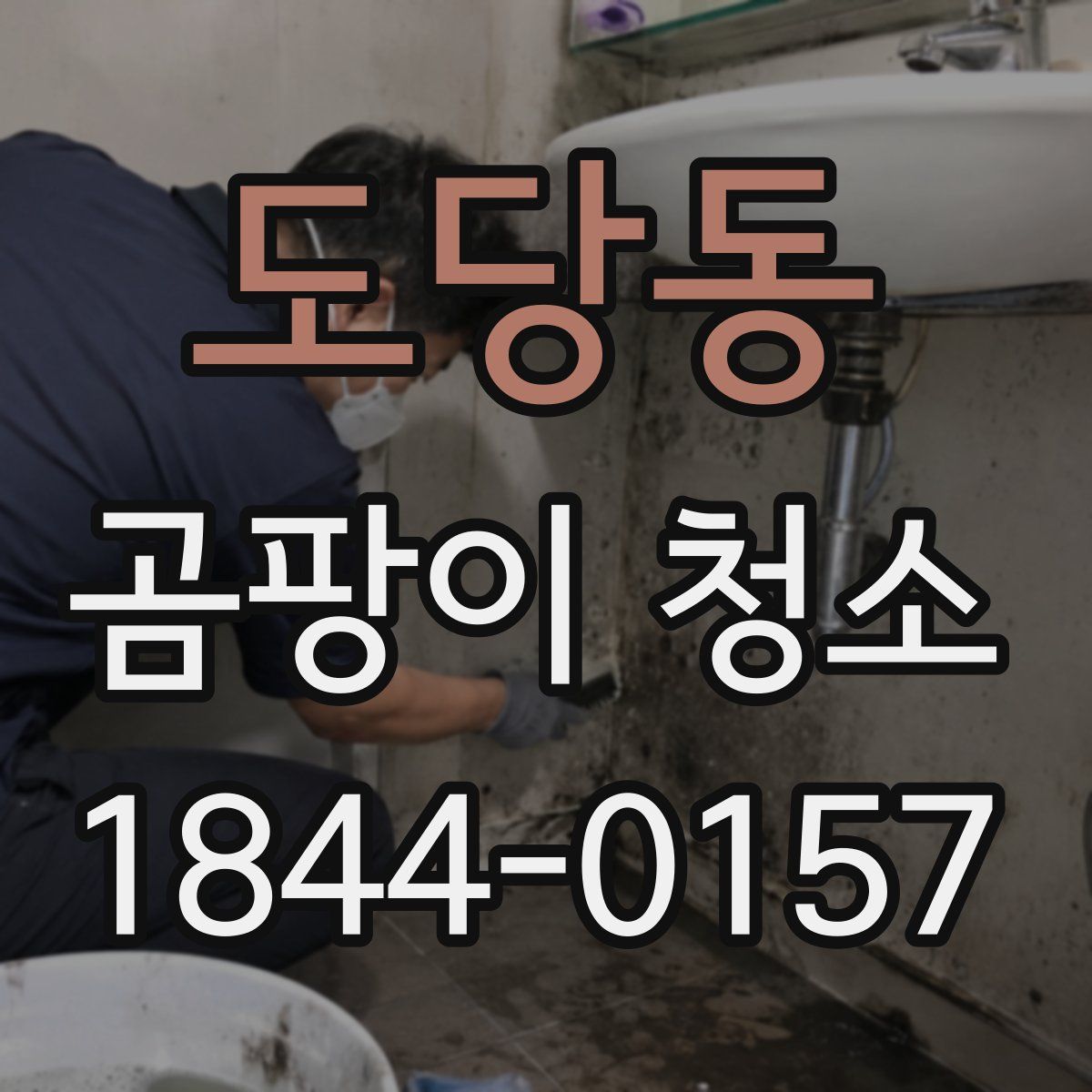 도당동 곰팡이 청소