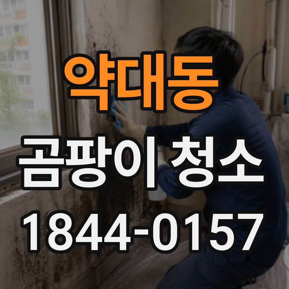 약대동 곰팡이 청소