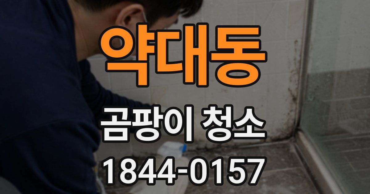 약대동 곰팡이 청소