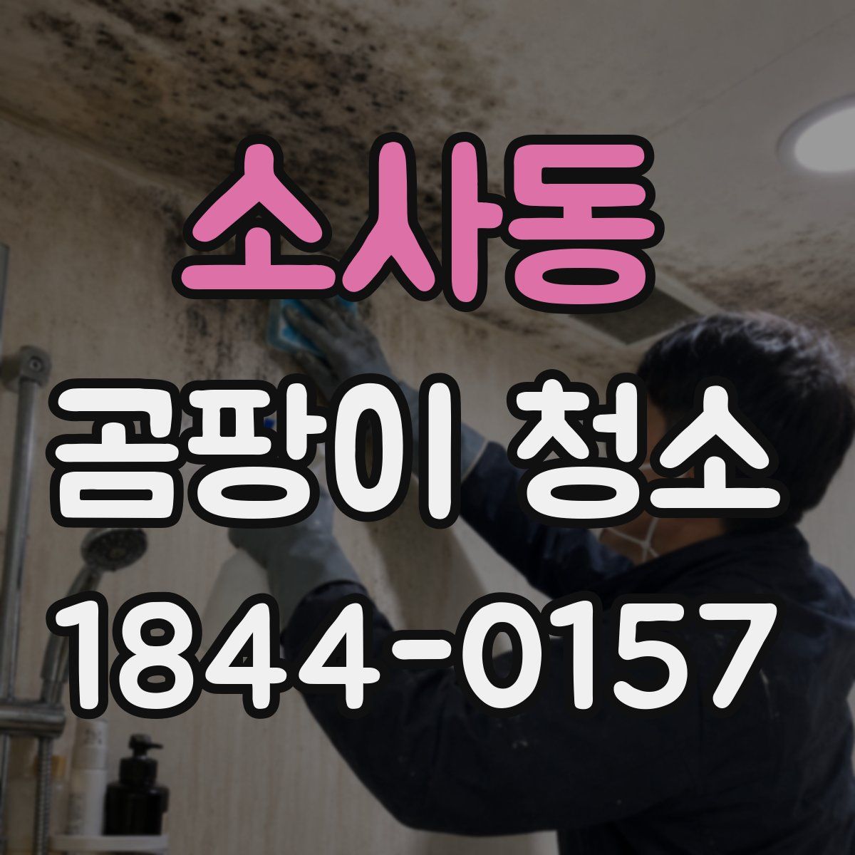소사동 곰팡이 청소