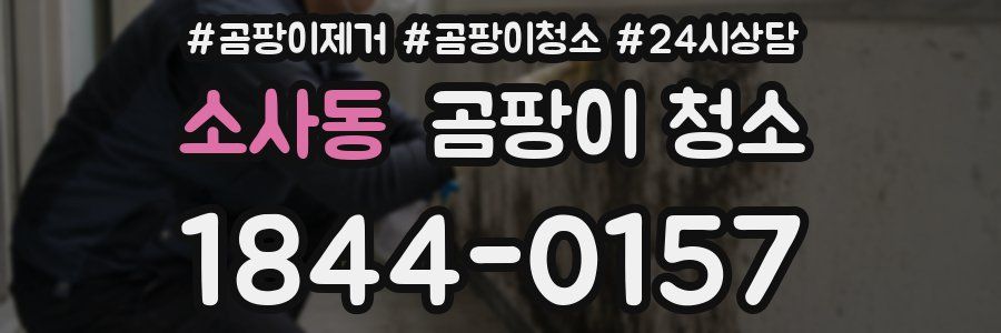 소사동 곰팡이 청소