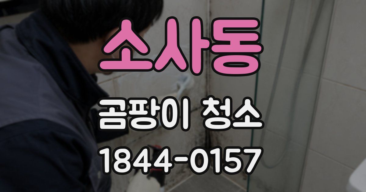 소사동 곰팡이 청소