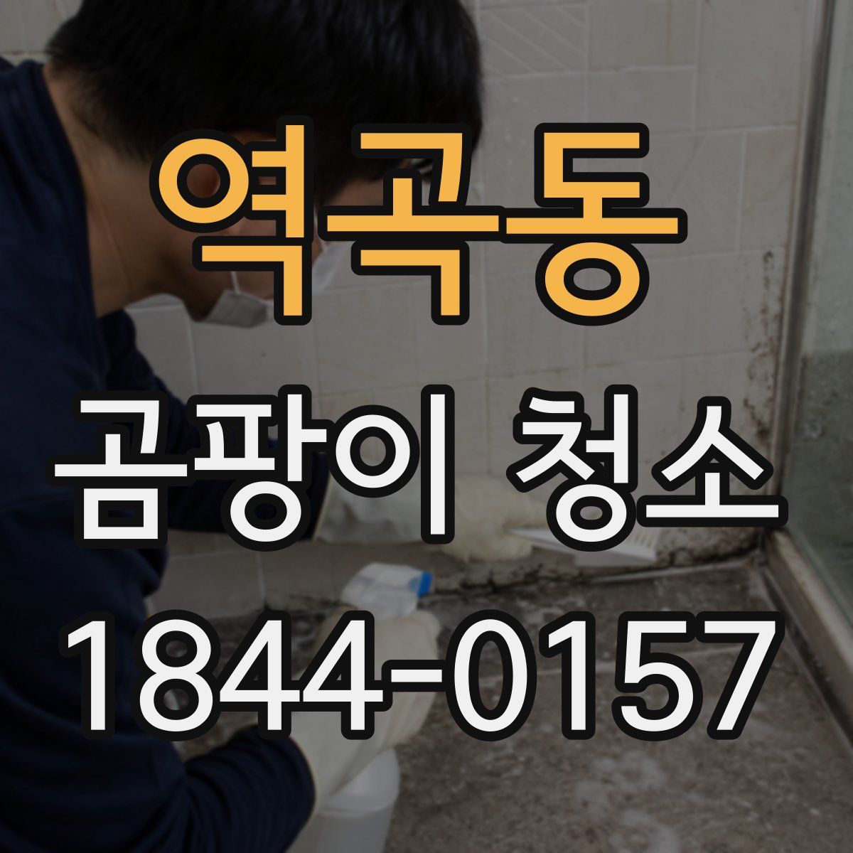 역곡동 곰팡이 청소