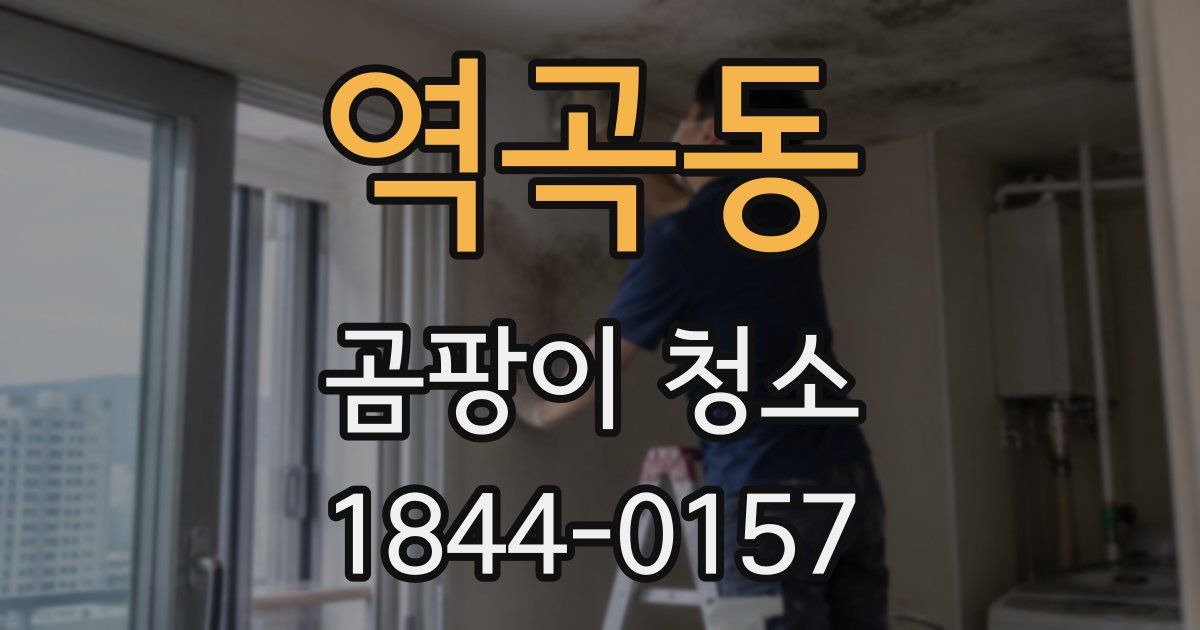 역곡동 곰팡이 청소