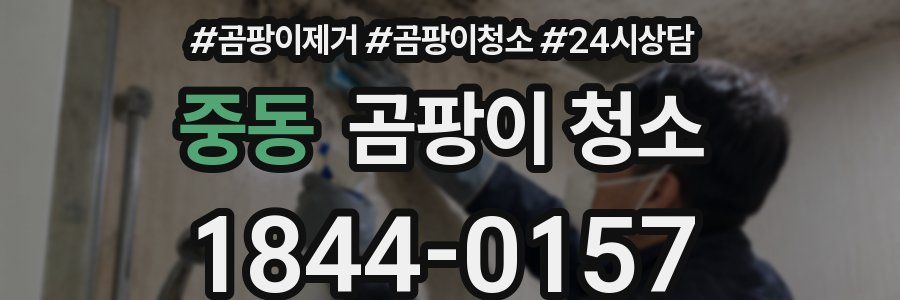 중동 곰팡이 청소
