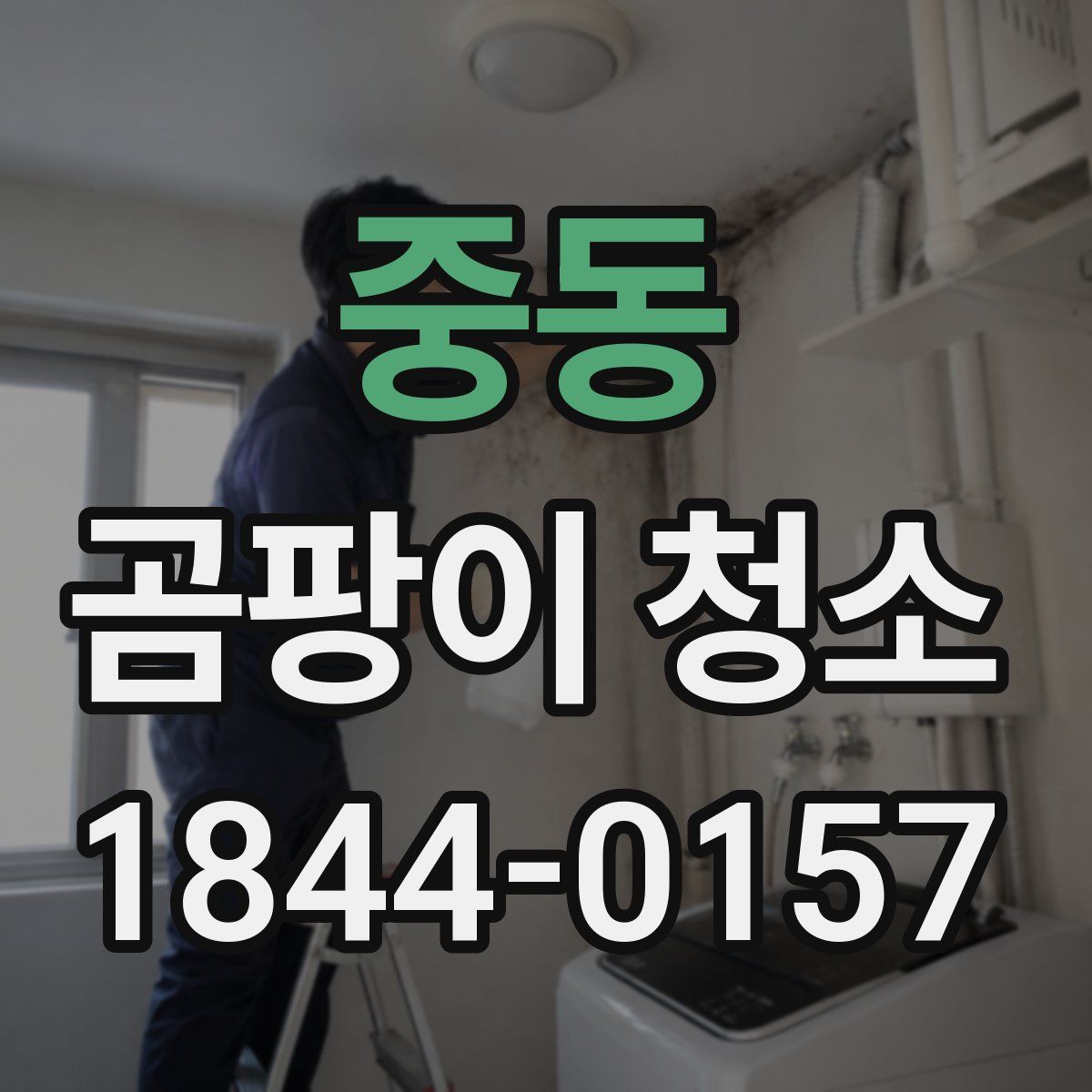 중동 곰팡이 청소