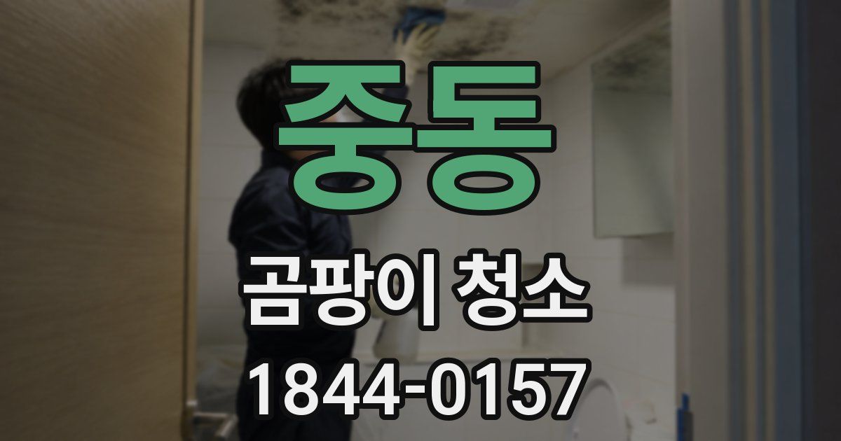 중동 곰팡이 청소