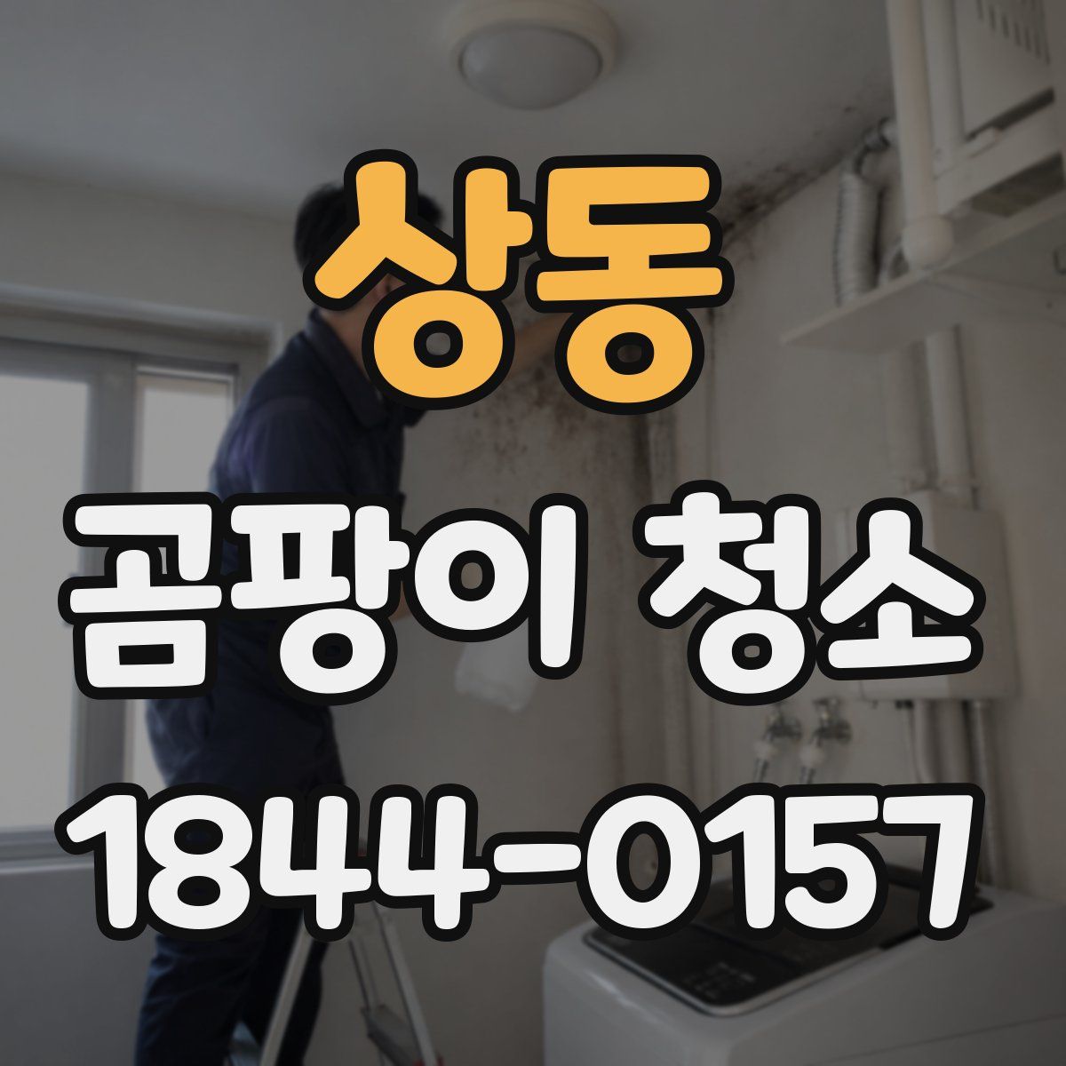 상동 곰팡이 청소