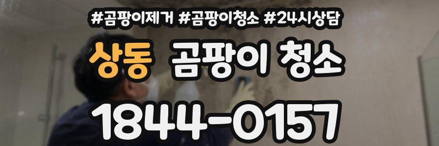 상동 곰팡이 청소
