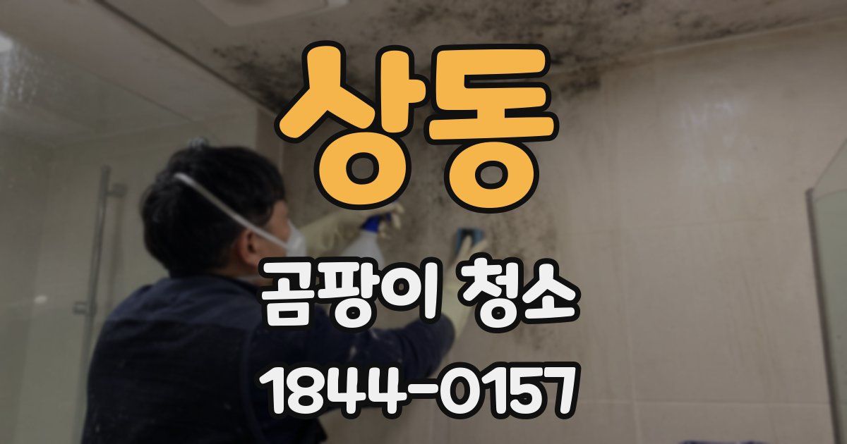 상동 곰팡이 청소