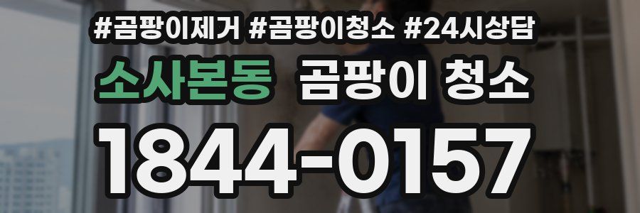 소사본동 곰팡이 청소