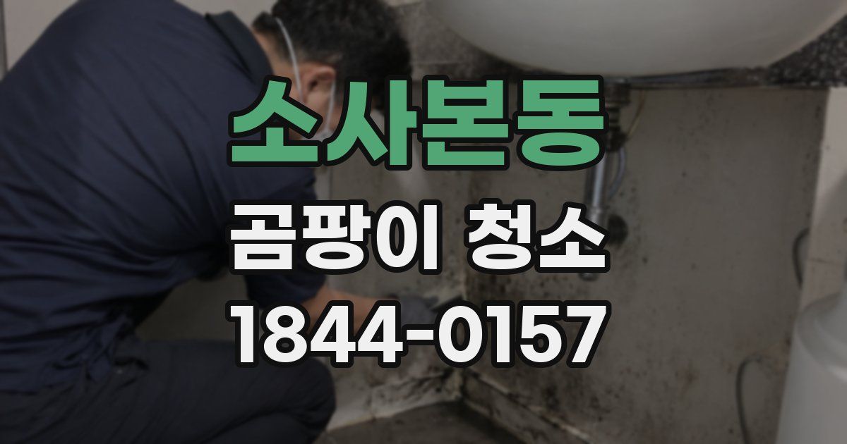 소사본동 곰팡이 청소