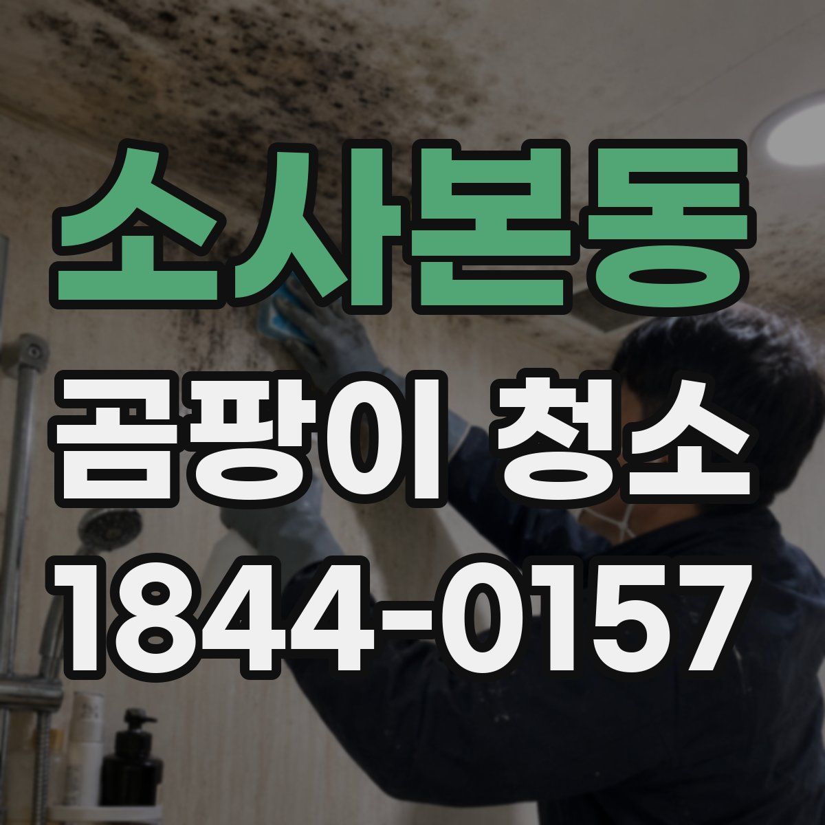 소사본동 곰팡이 청소