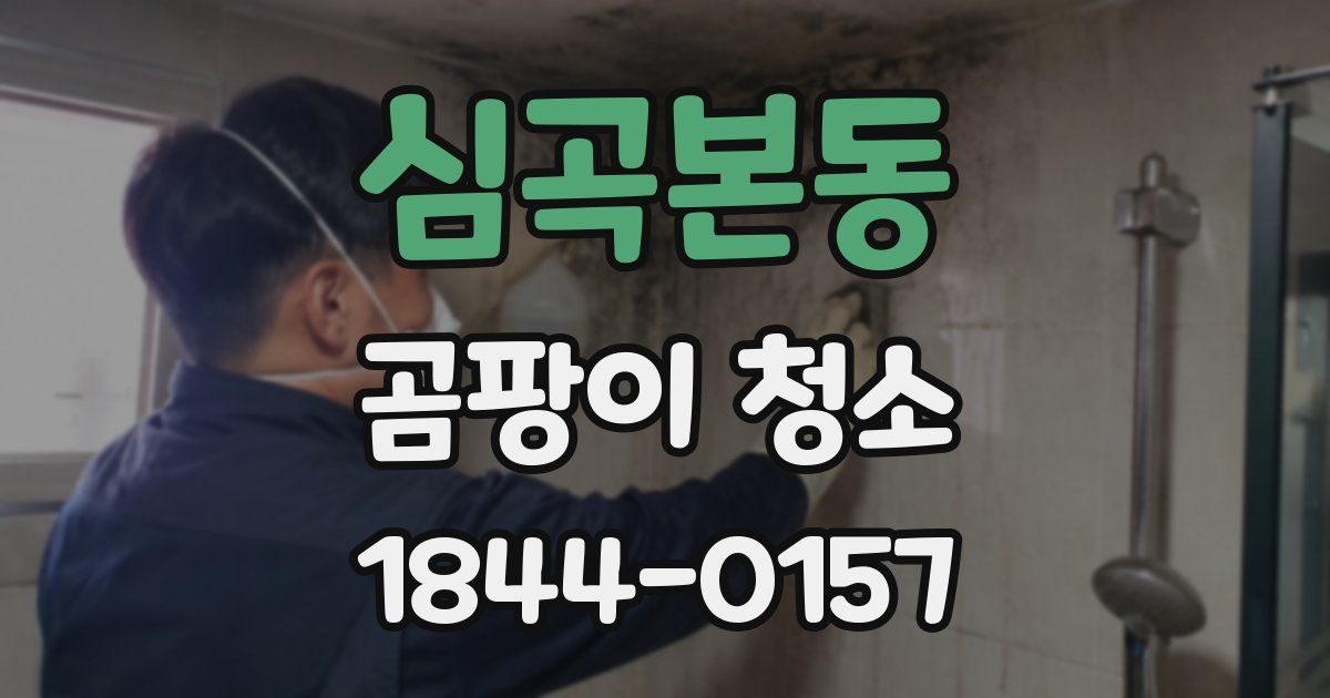 심곡본동 곰팡이 청소