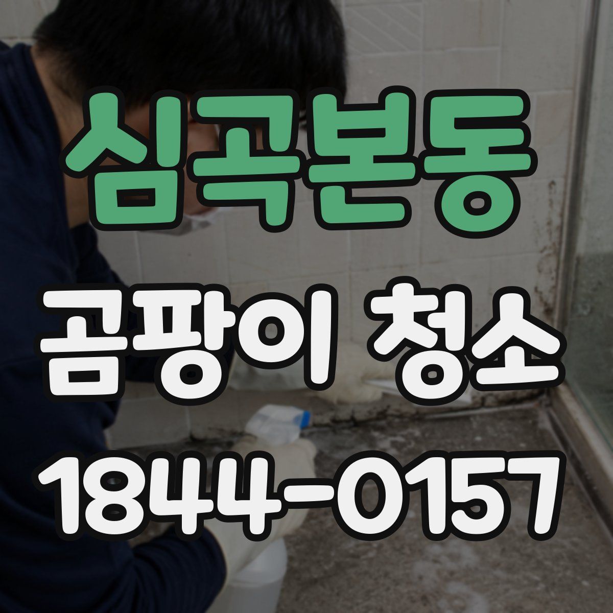 심곡본동 곰팡이 청소
