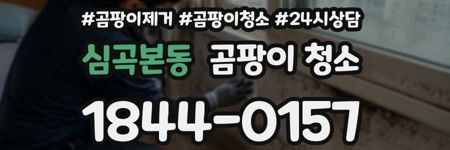 심곡본동 곰팡이 청소