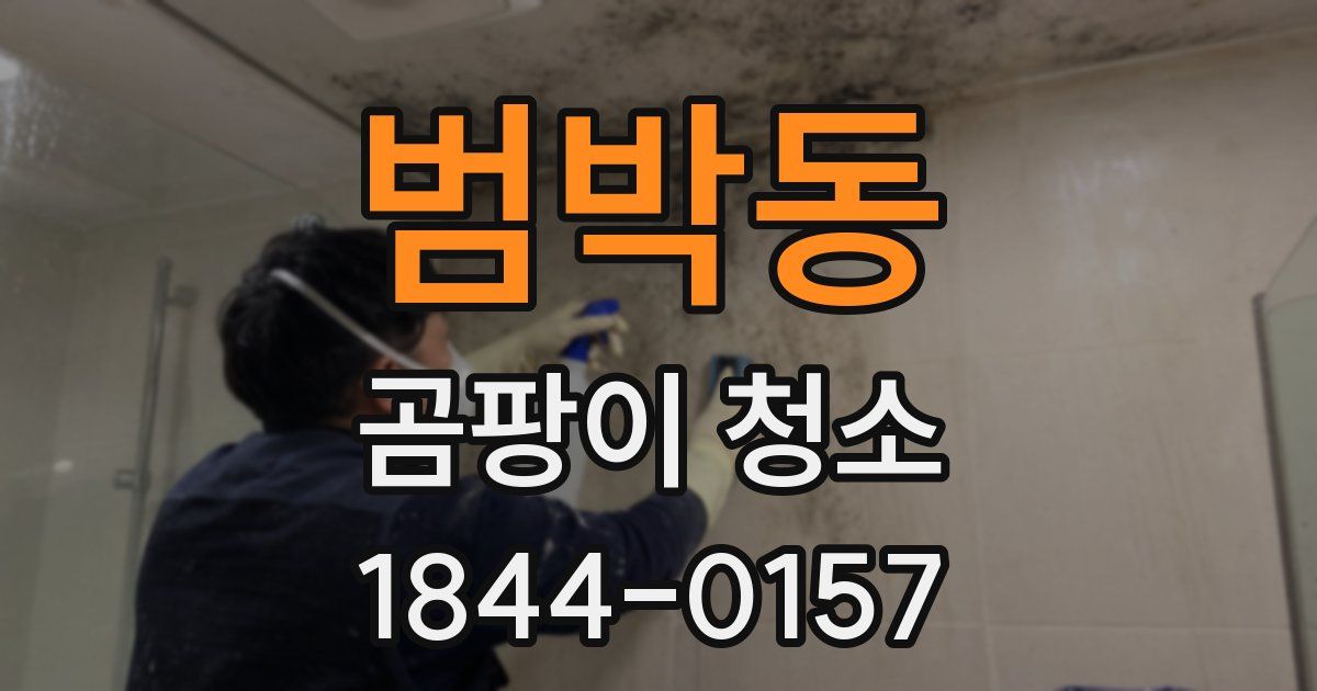범박동 곰팡이 청소