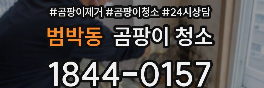 범박동 곰팡이 청소