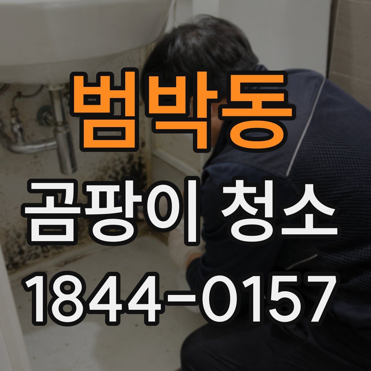 범박동 곰팡이 청소