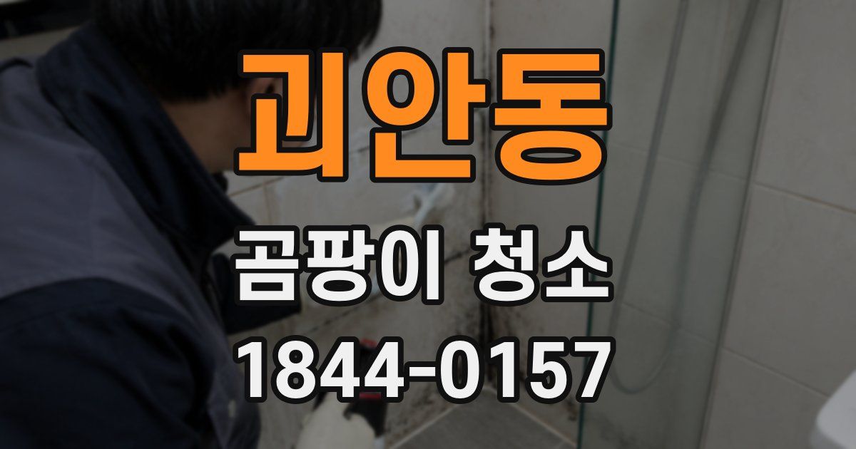괴안동 곰팡이 청소