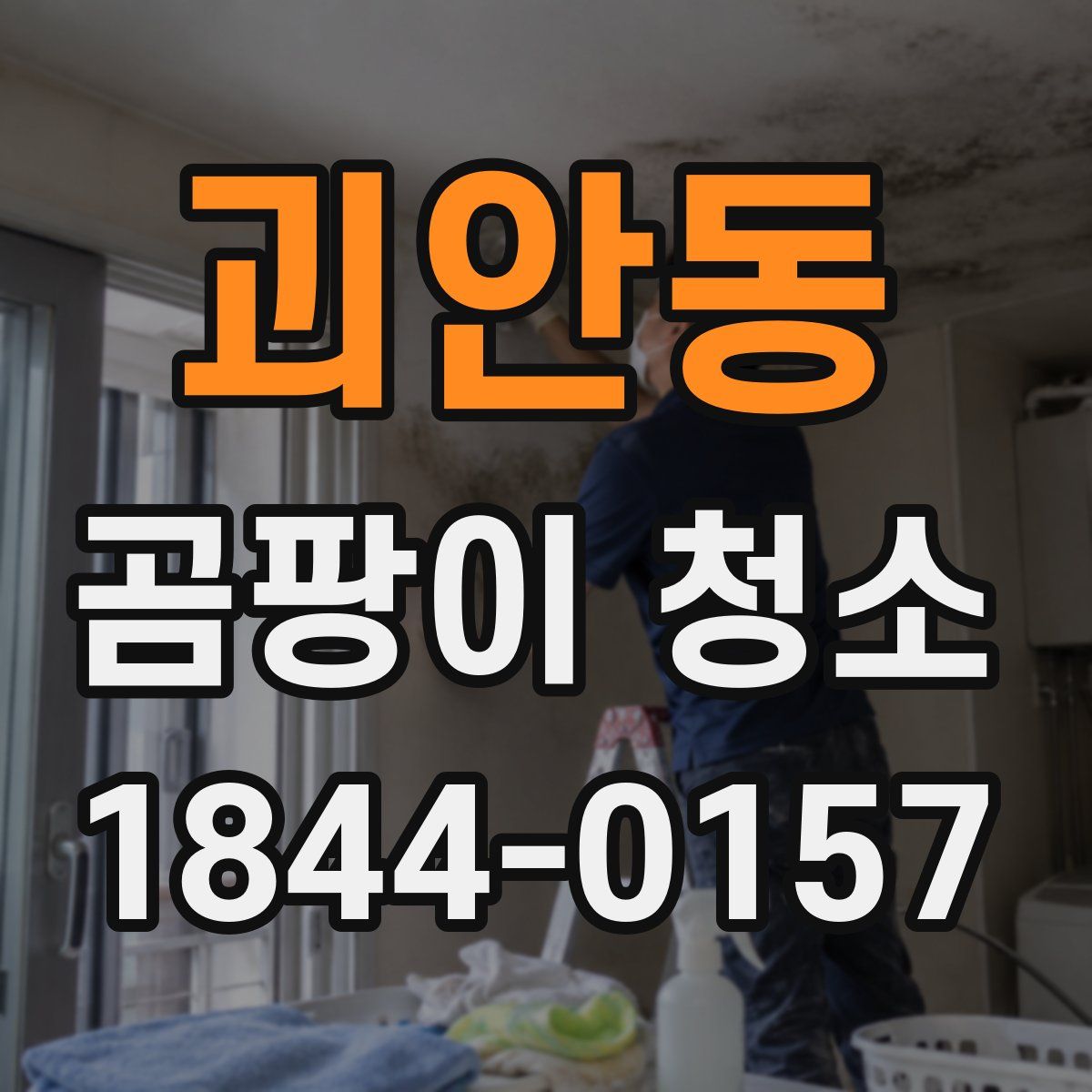 괴안동 곰팡이 청소