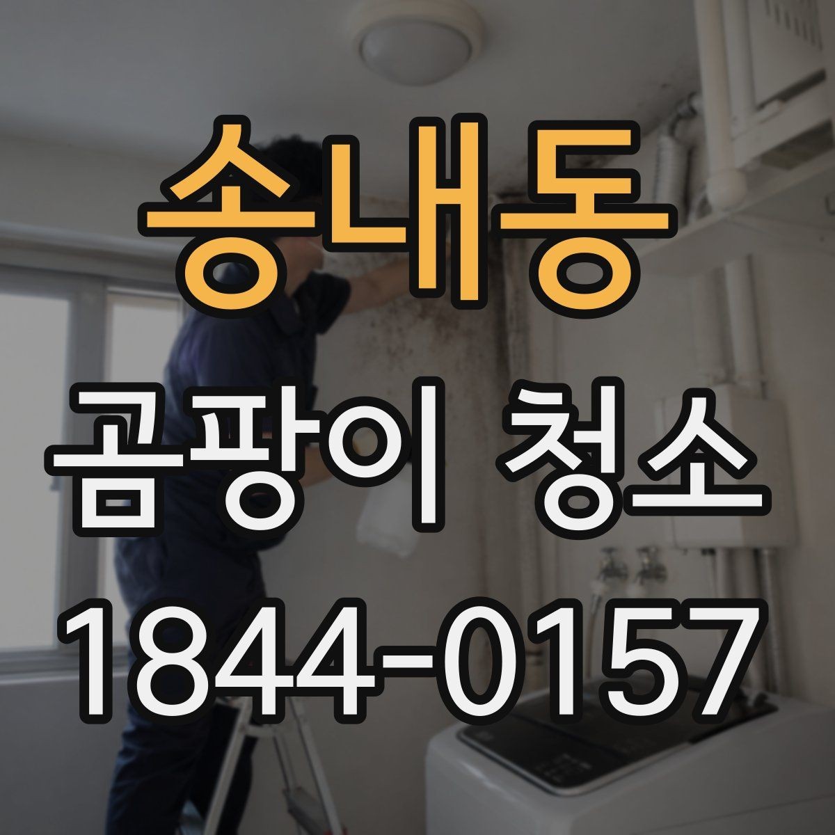 송내동 곰팡이 청소 자국과 얼룩을 구분하는 기본 체크포인트