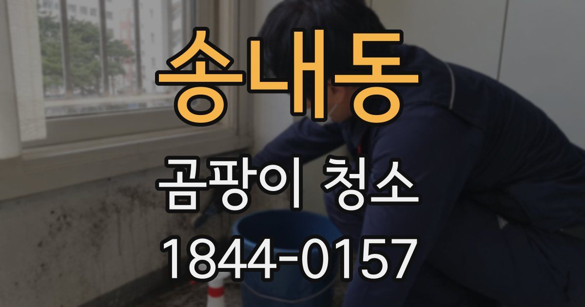 송내동 곰팡이 청소