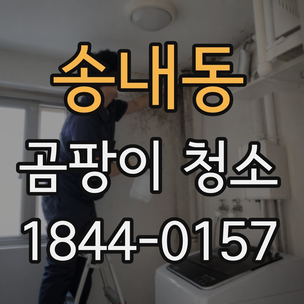 송내동 곰팡이 청소
