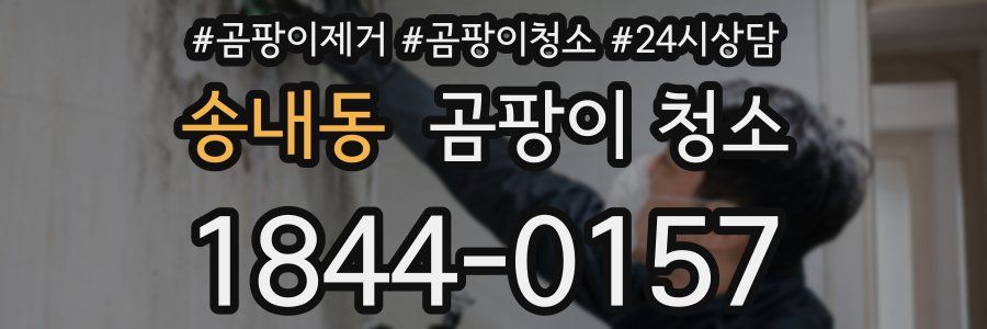 송내동 곰팡이 청소