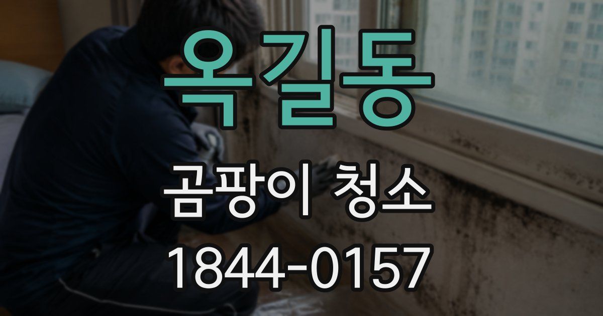 옥길동 곰팡이 청소