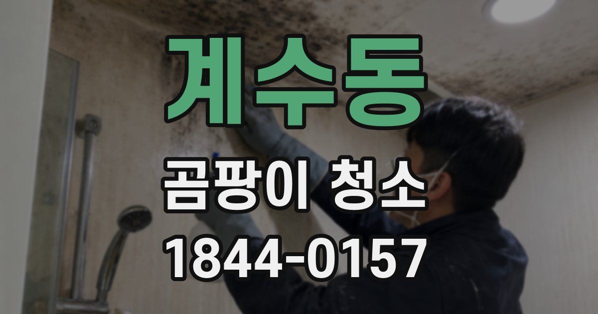 계수동 곰팡이 청소