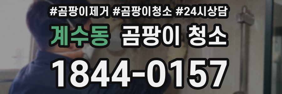 계수동 곰팡이 청소