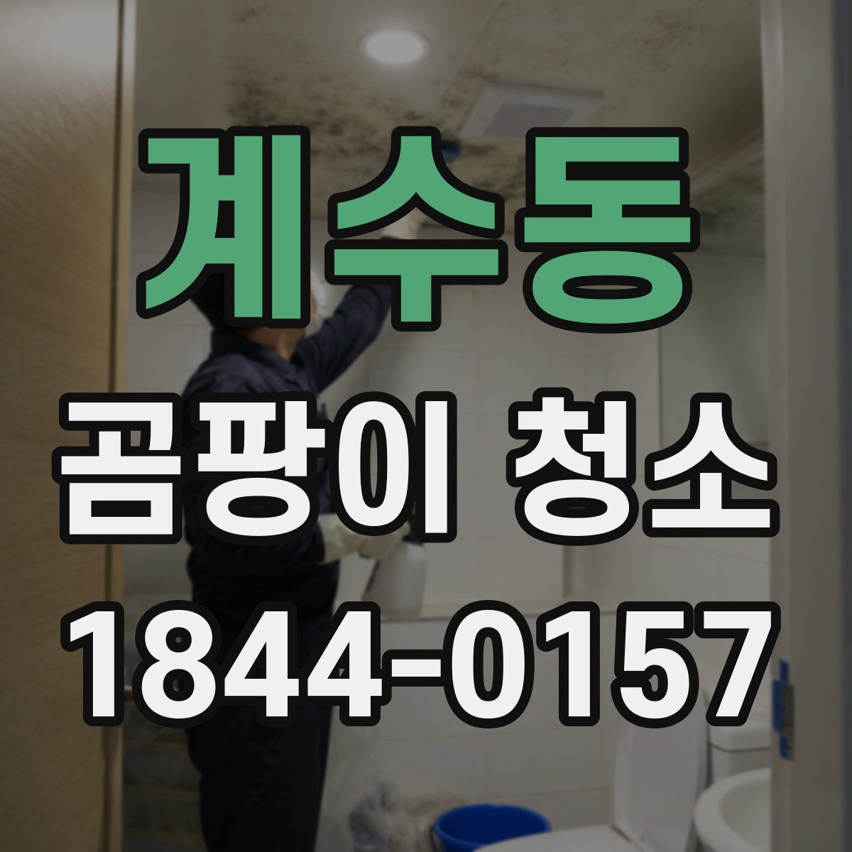 계수동 곰팡이 청소