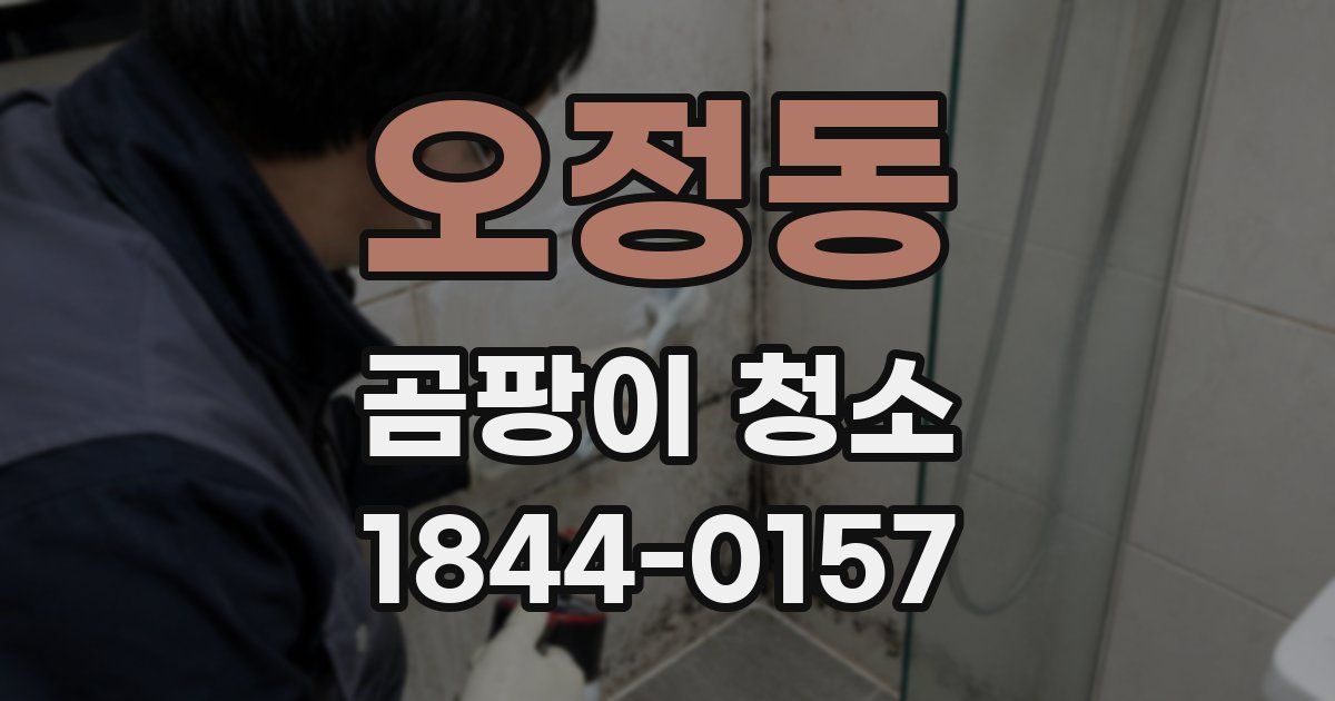 오정동 곰팡이 청소