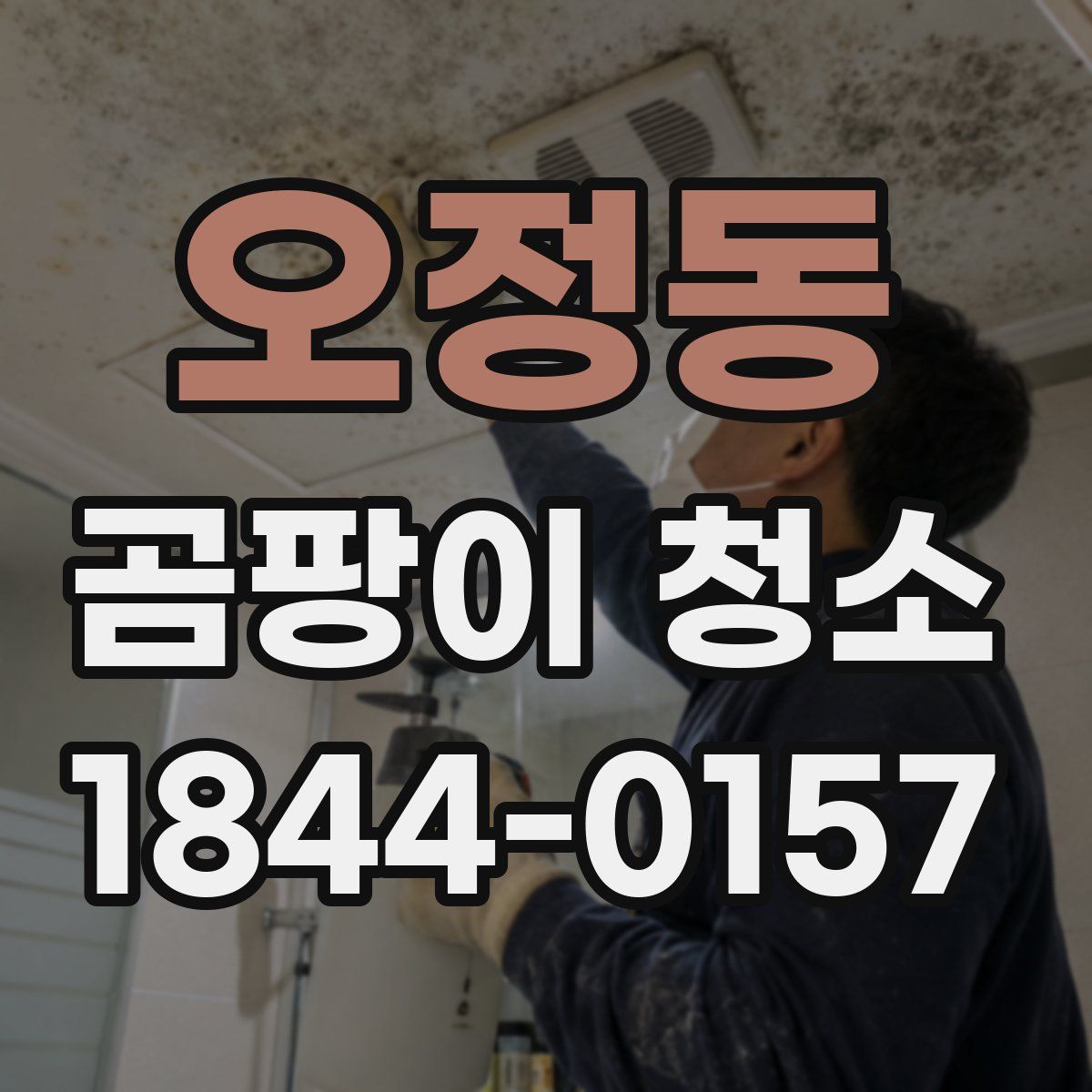 오정동 곰팡이 청소