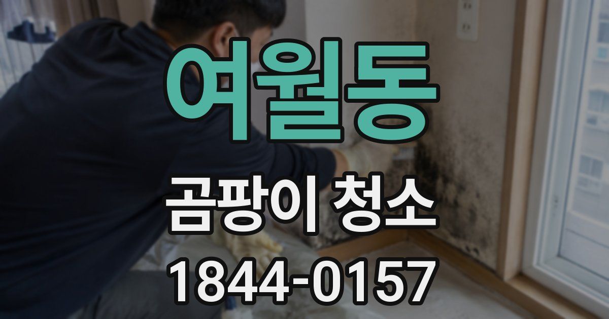 여월동 곰팡이 청소