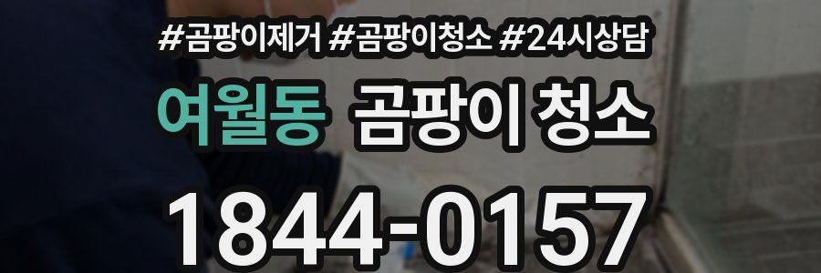여월동 곰팡이 청소