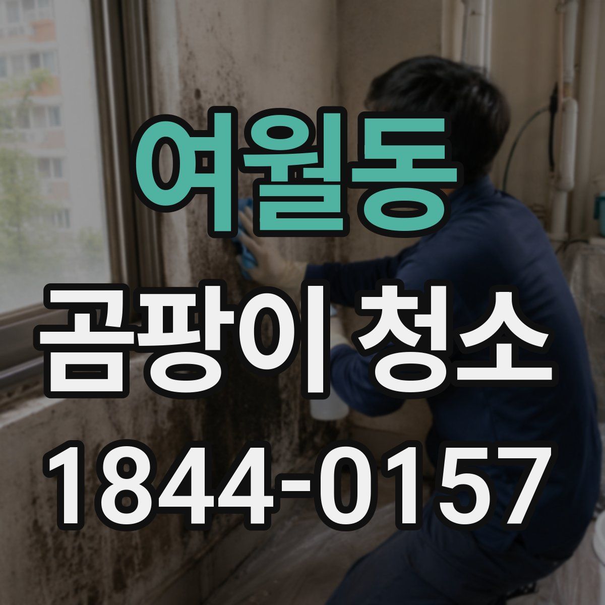 여월동 곰팡이 청소