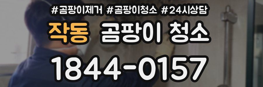 작동 곰팡이 청소
