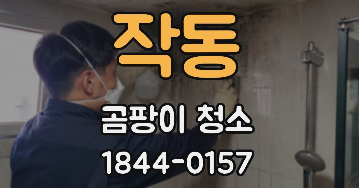 작동 곰팡이 청소