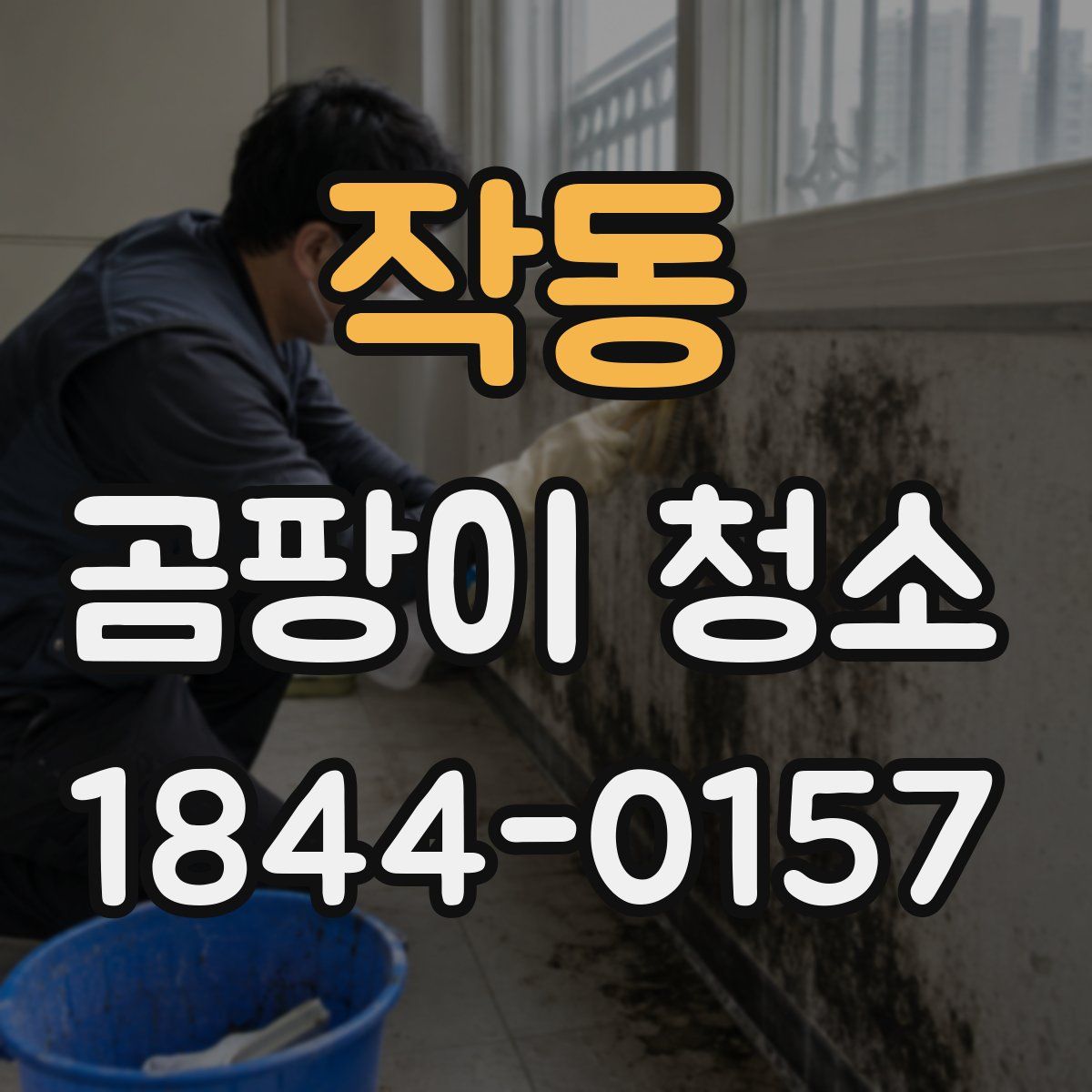 작동 곰팡이 청소
