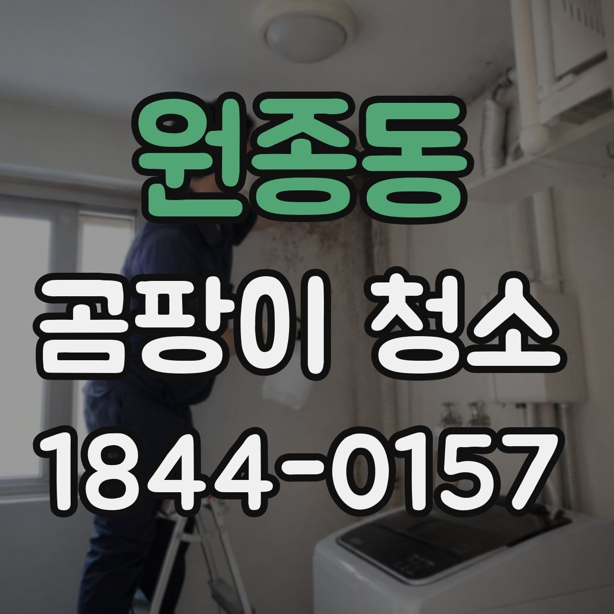 원종동 곰팡이 청소 다시 생기지 않게 돕는 생활습관