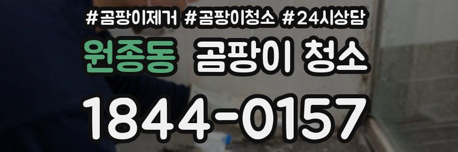 원종동 곰팡이 청소