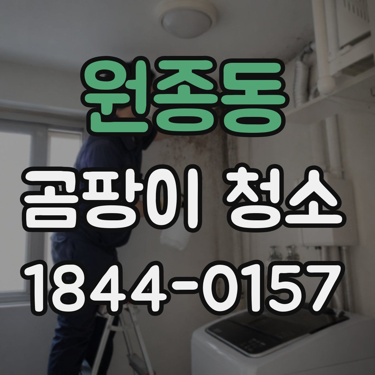 원종동 곰팡이 청소