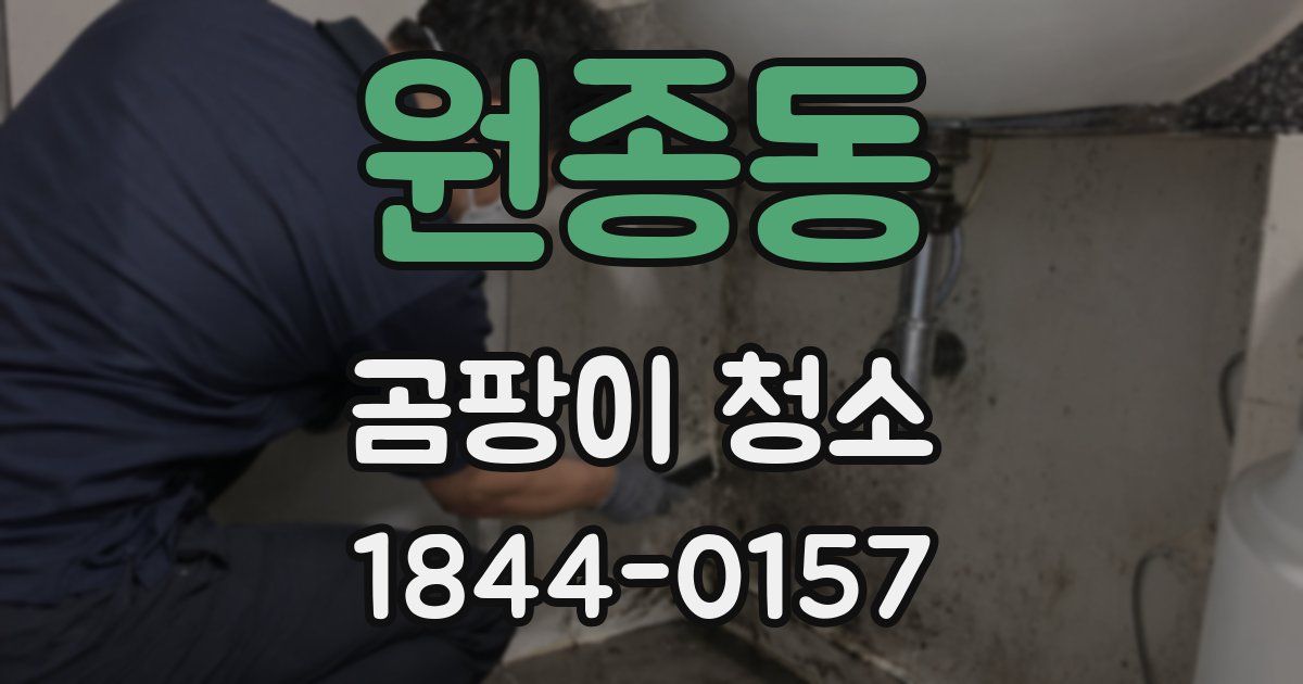 원종동 곰팡이 청소